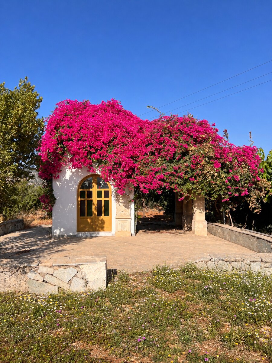 Kleine Kapelle mit Bougainvillea