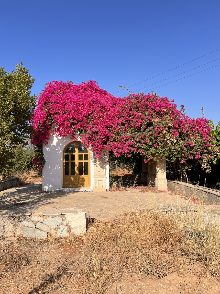 Weißes Haus mit Bougainvillea